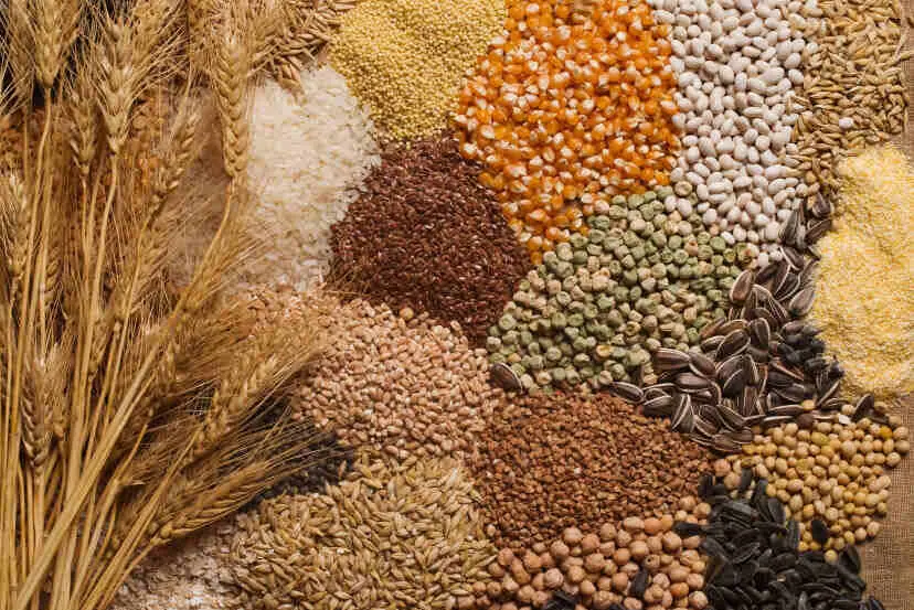 Agriculture